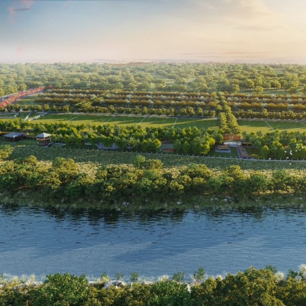 1033025a d065 4c50 8a34 041c3c7861a0 2.jpg