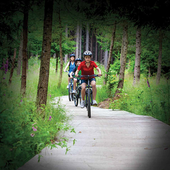 7beb1d92 64c5 4e08 8a04 3b4c8eaad2e2 1.webp